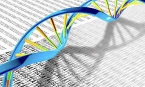 What is Androgenetic Alopecia/Female Pattern Hair Loss?